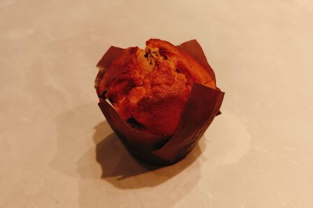 Blueberry muffin