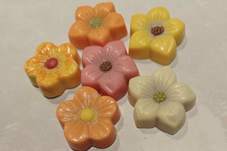 Bloem pralin&eacute; wit